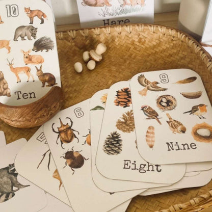 Nature Learning Pack for Kids, Printable Flashcards & Worksheets, Homeschool & Early Education